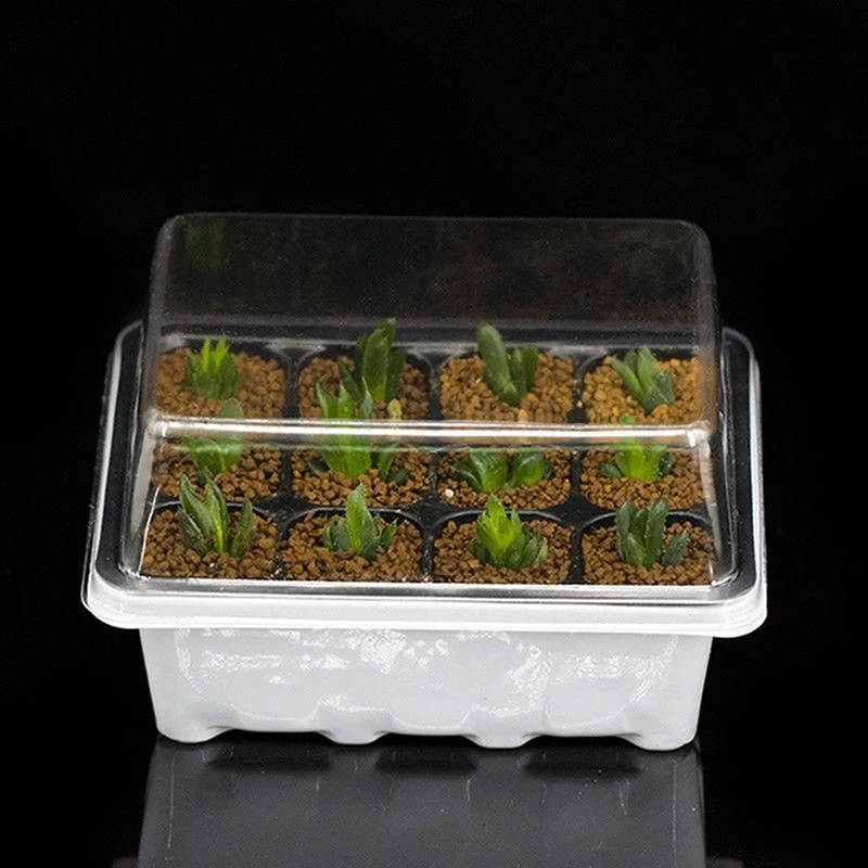3pcs/set Insert Propagation Nursery Seedling Start Tray Case 12 Hole Plant Seed Grow Box Hot sale
3pcs/set Insert Propagation Nursery Seedling Start Tray Case 12 Hole Plant Seed Grow Box Hot sale