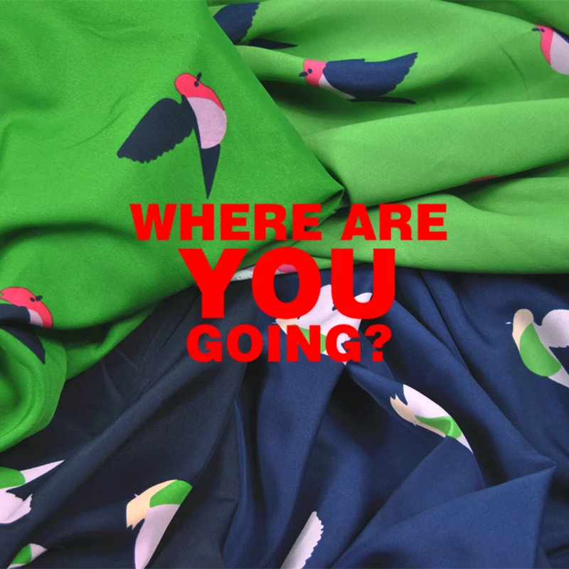 LEO&LIN Birds Double DRESS Looking Synthetic Fabric Printing Personalized T-shirt DIY Fabric 20 50cm
LEO&LIN Birds Double DRESS Looking Synthetic Fabric Printing Personalized T-shirt DIY Fabric 20 50cm