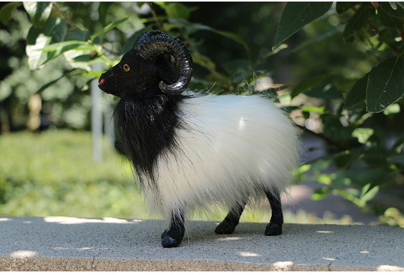 about 18x20cm sheep, black&white goat model,polyethylene&furs handicraft Figurines & Miniatures home decoration toy gift a2975
about 18x20cm sheep, black&white goat model,polyethylene&furs handicraft Figurines & Miniatures home decoration toy gift a2975