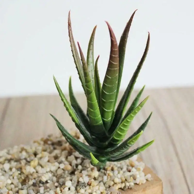Creative Artificial Succulents Plants Fake Aloe Plants Artificial Plant Landscape Fake Flower Home Decor
Creative Artificial Succulents Plants Fake Aloe Plants Artificial Plant Landscape Fake Flower Home Decor