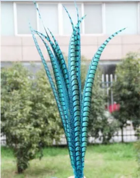 Wholesale 50 pcs sky blue rare golden pheasant tail feather 36-40 inches / 90-100 cm show party decoration
Wholesale 50 pcs sky blue rare golden pheasant tail feather 36-40 inches / 90-100 cm show party decoration