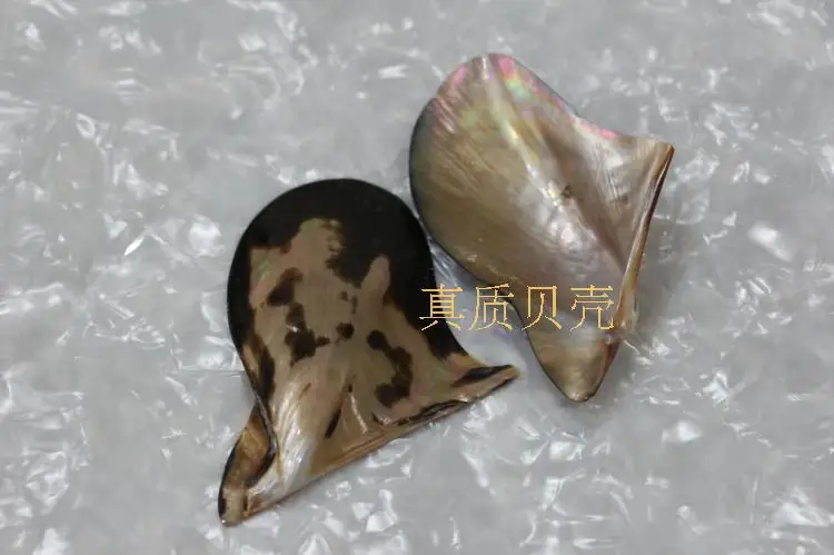 Natural penguin shell mother of pearl polished shells for decoration home furnishing articles qch97 2pcs/lot
Natural penguin shell mother of pearl polished shells for decoration home furnishing articles qch97 2pcs/lot