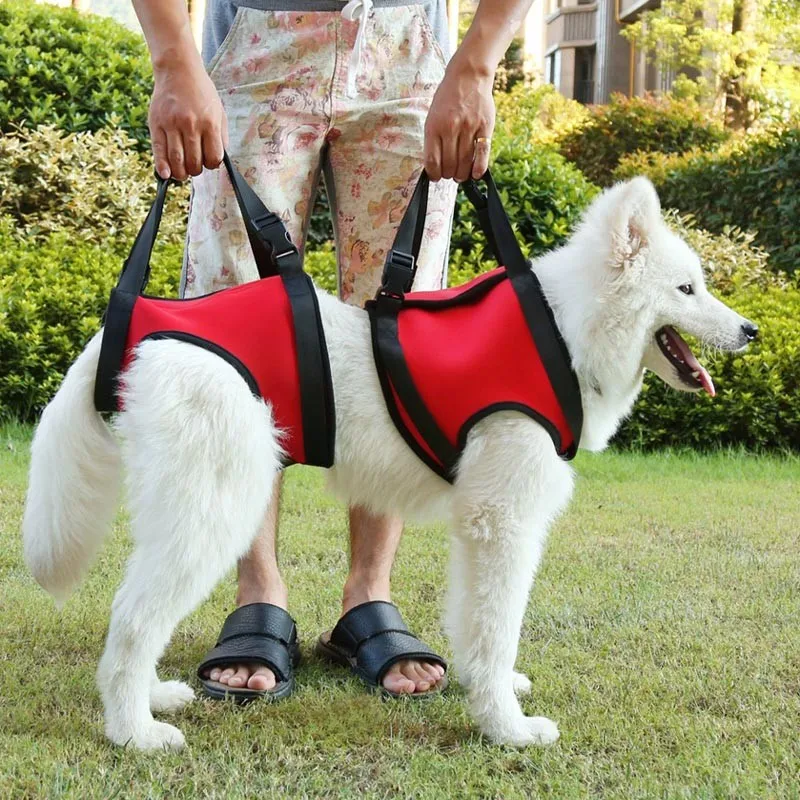 S/M/L Elderly Sick Dog Lift Support Harness With Handle Neoprene Material | DogsMall-International