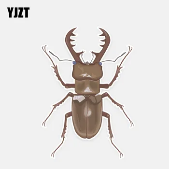 YJZT 9.5*13.8CM Colored Small Animals Flight Beetle Decor Car Stickers High Quality Personalized 11A0622
YJZT 9.5*13.8CM Colored Small Animals Flight Beetle Decor Car Stickers High Quality Personalized 11A0622