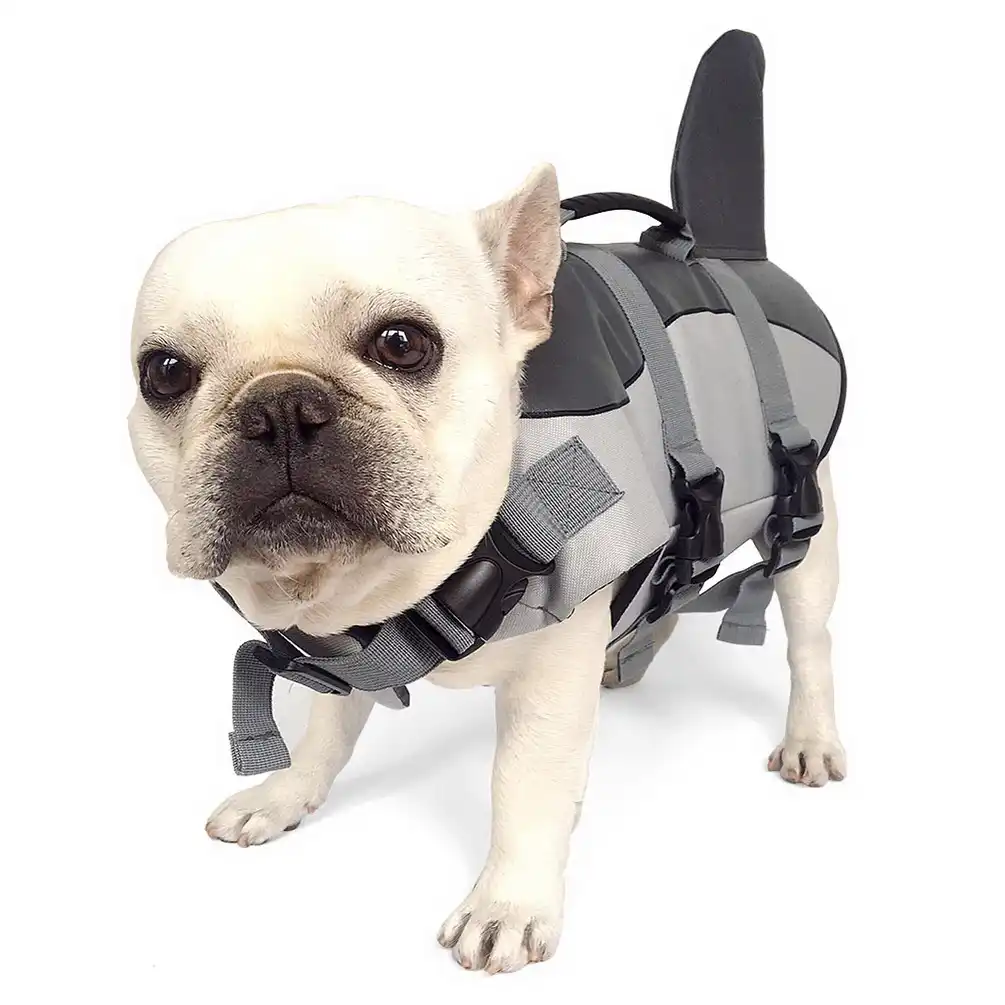 life jacket small dog