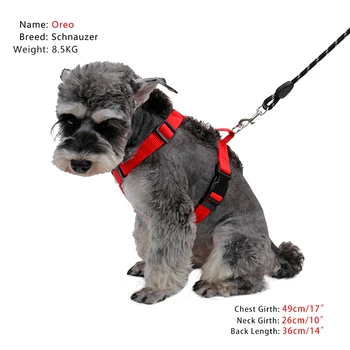 Dog Harness 2Pcs/lot Durable Nylon Adjustable Chest Strap Vest Leash Set For Cat Small Medium Animal Walking Pet Accessories
Dog Harness 2Pcs/lot Durable Nylon Adjustable Chest Strap Vest Leash Set For Cat Small Medium Animal Walking Pet Accessories