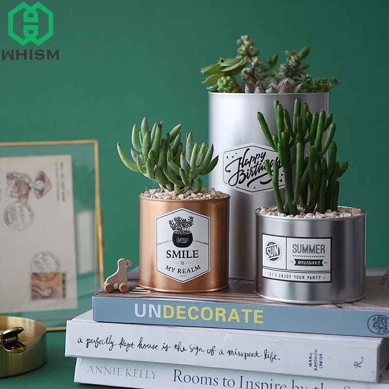 WHISM Retro Iron Garden Pots Planters Decorative Succulent Plant Pot Tinplate Nursery Pots Storage Container Metal Flower Basket
WHISM Retro Iron Garden Pots Planters Decorative Succulent Plant Pot Tinplate Nursery Pots Storage Container Metal Flower Basket