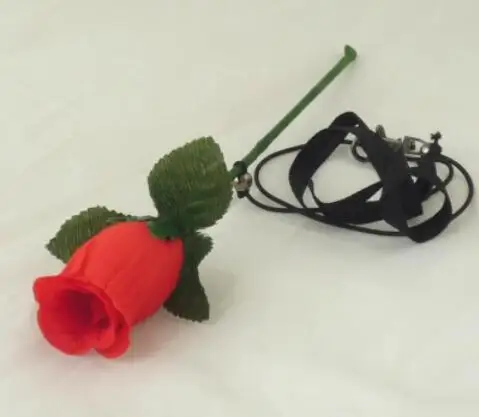 2pcs Vanishing Rose / Flower Disappearing From Bare Hand Magic Tricks Flower Magie Stage Illusion Gimmick Props Classic Toys
2pcs Vanishing Rose / Flower Disappearing From Bare Hand Magic Tricks Flower Magie Stage Illusion Gimmick Props Classic Toys