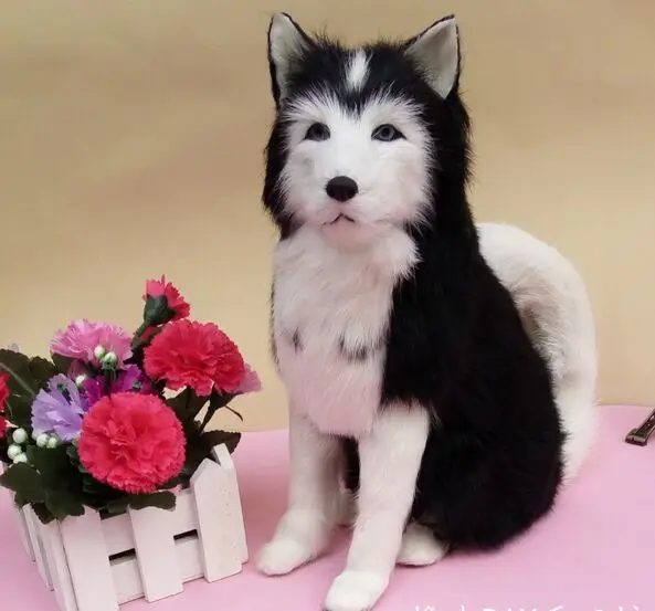 large 23x26cm squatting black Alaskan Malamute model polyethylene&furs dog handicraft decoration toy gift a2377
large 23x26cm squatting black Alaskan Malamute model polyethylene&furs dog handicraft decoration toy gift a2377