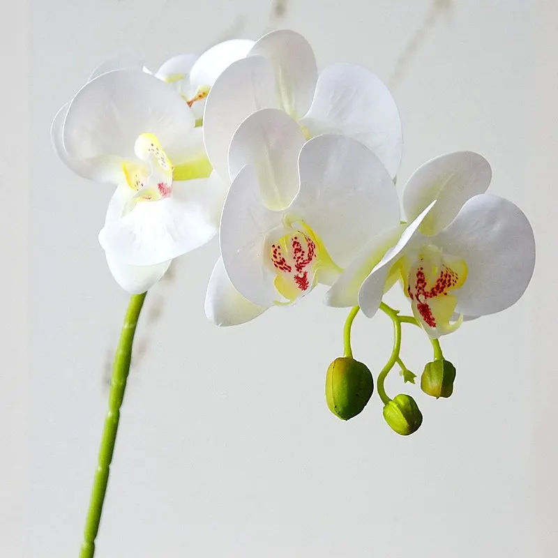 7Pcs Latex Real touch Artificial Orchid flower white Butterfly Orchids fake flower for Home party DIY Wedding Decoration flores
7Pcs Latex Real touch Artificial Orchid flower white Butterfly Orchids fake flower for Home party DIY Wedding Decoration flores