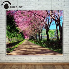 Allenjoy photography backdrop cherry blossom pathway natural scenery background photo studio new design camera fotografica
Allenjoy photography backdrop cherry blossom pathway natural scenery background photo studio new design camera fotografica