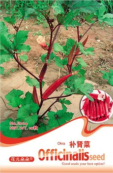 1 Original  Pack, 10 Seeds / Pack, Red Okra Seeds Red Burgandy Heirloom Organic Herbs #E004