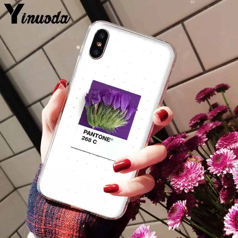 Pantone Candy Color Flower