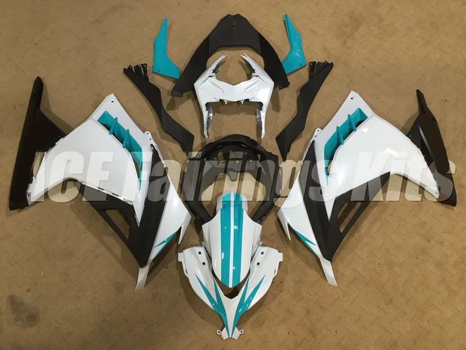 NINJA300 13-14 (385)