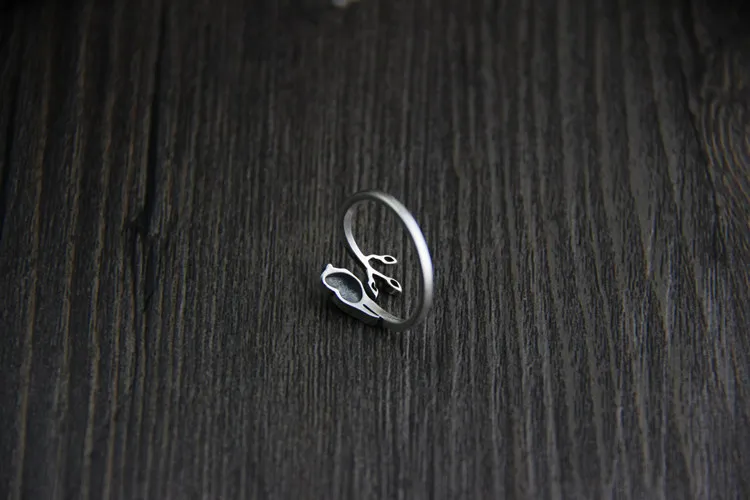 3041617183_859587021