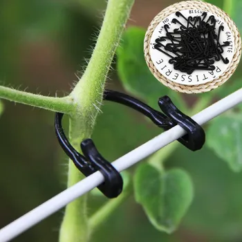 50 Pcs/Set Practical Vines Fastener Tied Buckle Hook Plant Vegetable Grafting Clips Agricultural Greenhouse Accessories
50 Pcs/Set Practical Vines Fastener Tied Buckle Hook Plant Vegetable Grafting Clips Agricultural Greenhouse Accessories