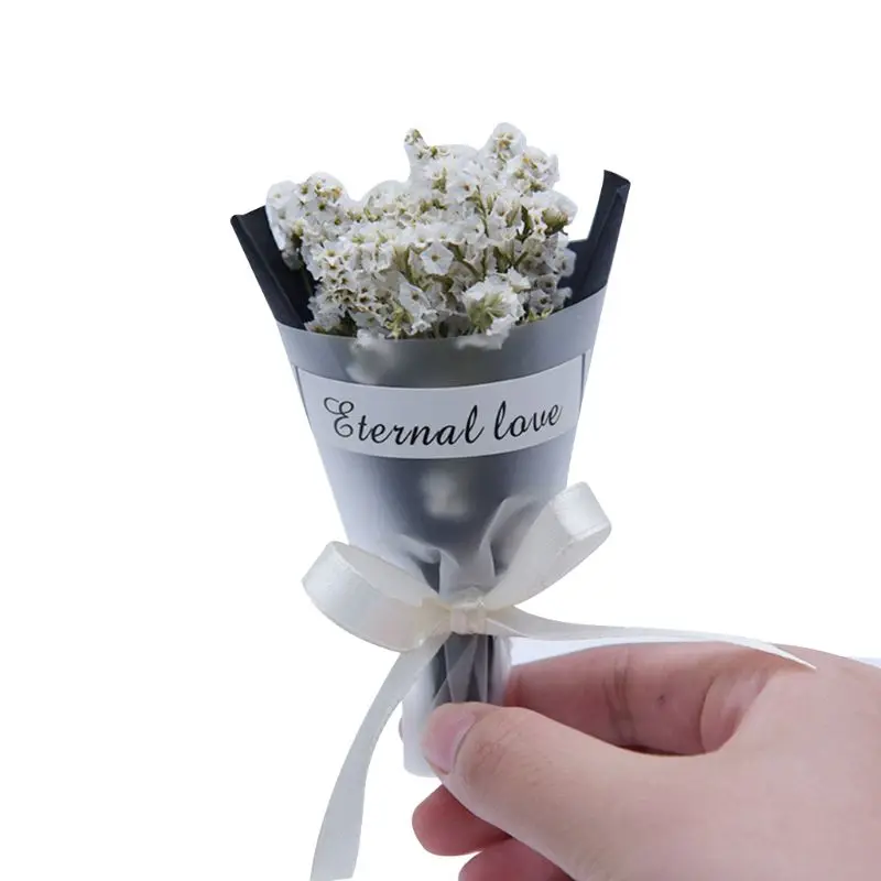 12cm Mini Gypsophila Dried Flower Bouquet Crystal Grass Solid Color Photo Props Birthday Gifts Party Decoration Wedding Ornament
12cm Mini Gypsophila Dried Flower Bouquet Crystal Grass Solid Color Photo Props Birthday Gifts Party Decoration Wedding Ornament