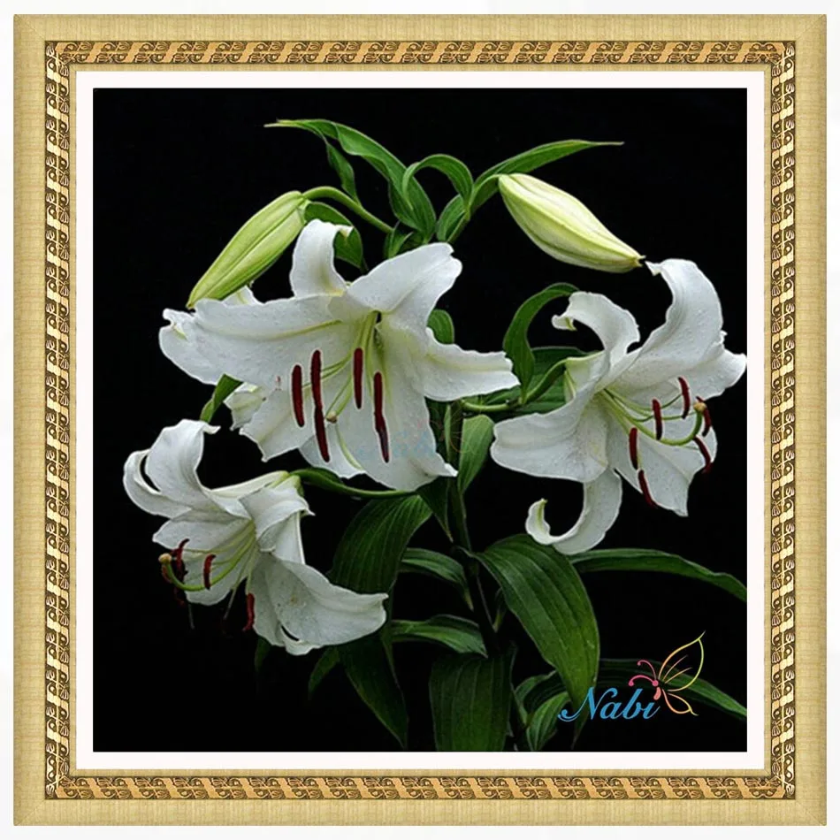 Flower Lily Round diamond mosaic painting diamond embroidery cross stitch - 5d diy full rhinestones beadwork kits 882HH
Flower Lily Round diamond mosaic painting diamond embroidery cross stitch - 5d diy full rhinestones beadwork kits 882HH