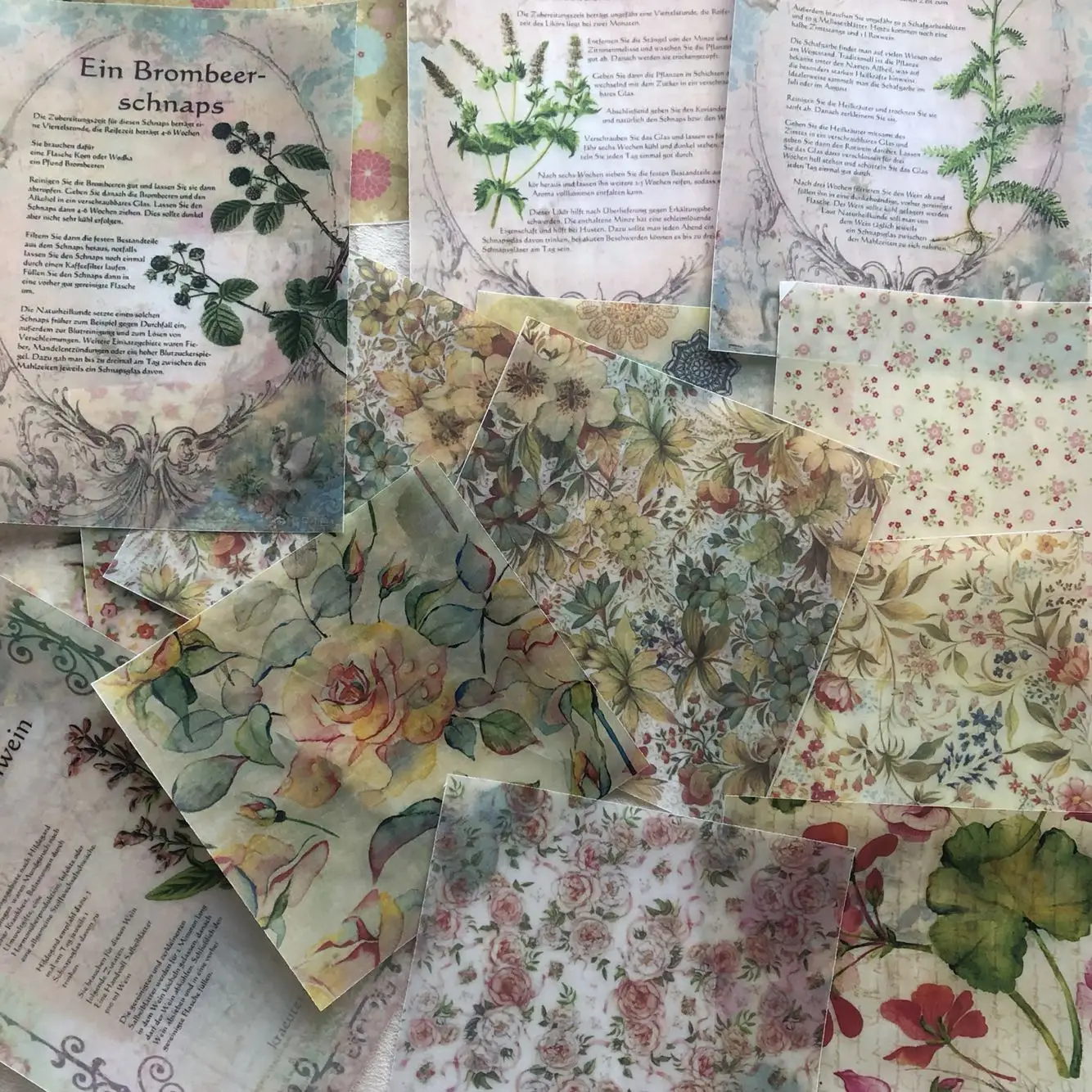 15PCS Retro flower plant material sulfuric acid paper scrapbooking DIY projects/photo album/card making crafts 
15PCS Retro flower plant material sulfuric acid paper scrapbooking DIY projects/photo album/card making crafts