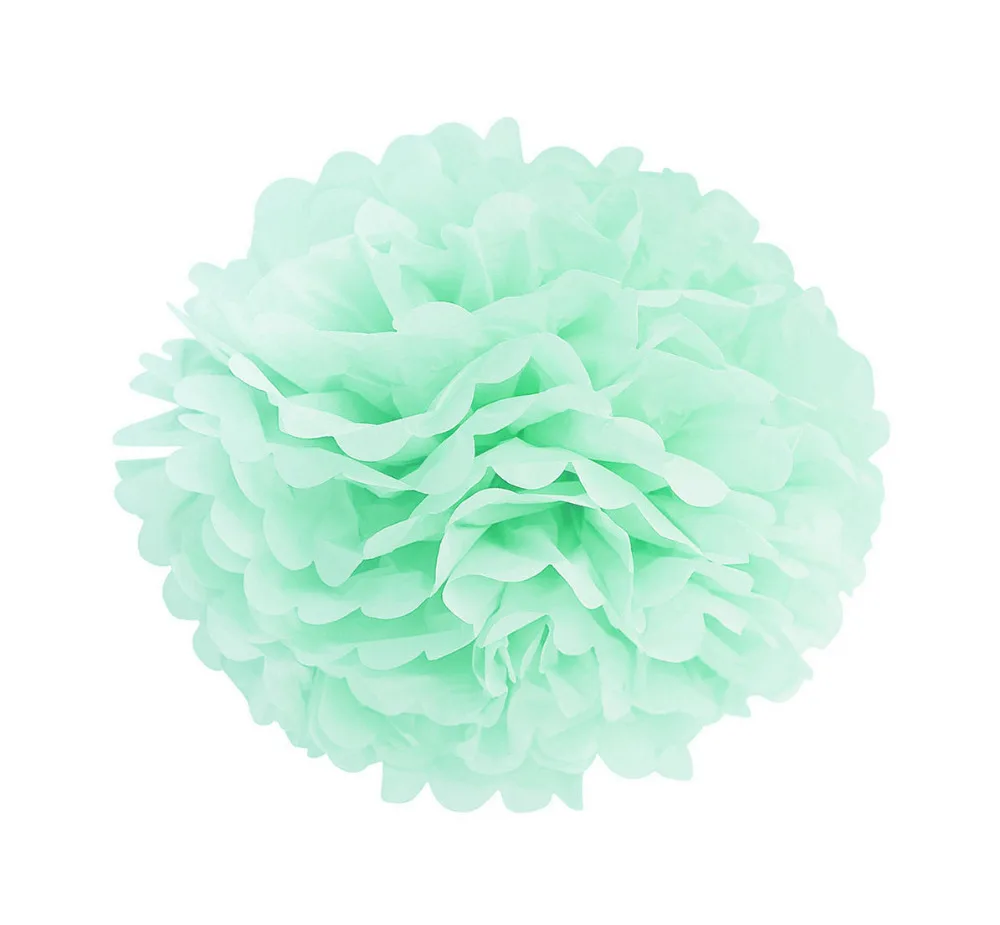 20cmPOM