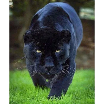 Cross Stitch Diamond Embroidery,Animal"Black Panther" Patterns Full DIY 5D Diamond Painting Rhinestones Mosaic Decoration GT
Cross Stitch Diamond Embroidery,Animal"Black Panther" Patterns Full DIY 5D Diamond Painting Rhinestones Mosaic Decoration GT