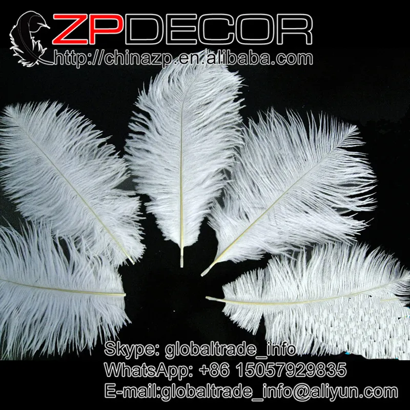 ZPDECOR 100 pcs/lot 15-20cm(6-8inch)Hand Select Premuim Quality Snow White Cheap Small Ostrich Feathers
ZPDECOR 100 pcs/lot 15-20cm(6-8inch)Hand Select Premuim Quality Snow White Cheap Small Ostrich Feathers