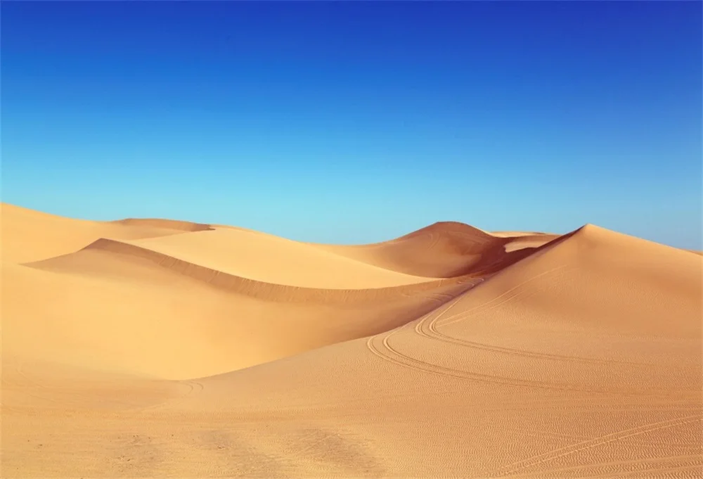 Laeacco Blue Sky Wild Desert Scenic Photography Backgrounds Customized Photographic Backdrops For Photo Studio
Laeacco Blue Sky Wild Desert Scenic Photography Backgrounds Customized Photographic Backdrops For Photo Studio