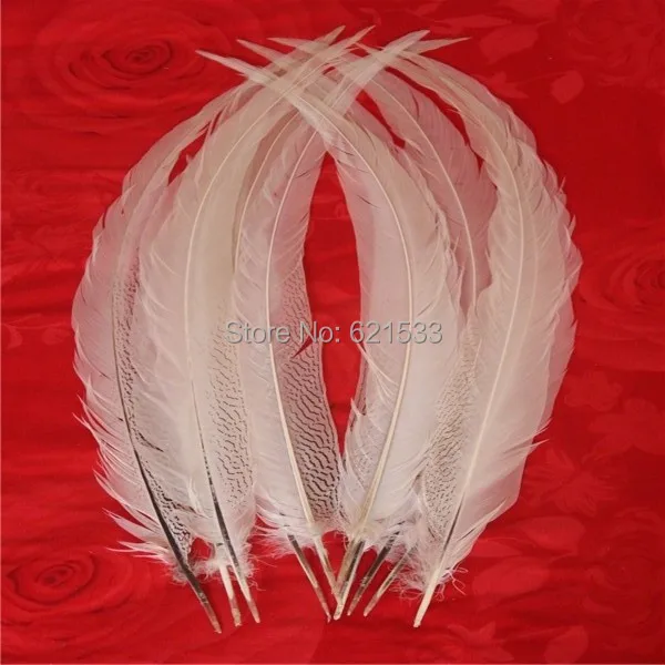 50Pcs/lot! 26-28" 65-70cm Super Long Natural Silver Pheasant Tail Feathers,Silver Pheasant Tails
50Pcs/lot! 26-28" 65-70cm Super Long Natural Silver Pheasant Tail Feathers,Silver Pheasant Tails
