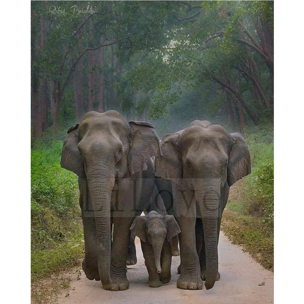 New 5D Diamond Embroidery Full Squarer/Round Mosaic DIY Diamond Painting Elephant Cross Stitch Decoration Paintings Kits ZX970
New 5D Diamond Embroidery Full Squarer/Round Mosaic DIY Diamond Painting Elephant Cross Stitch Decoration Paintings Kits ZX970