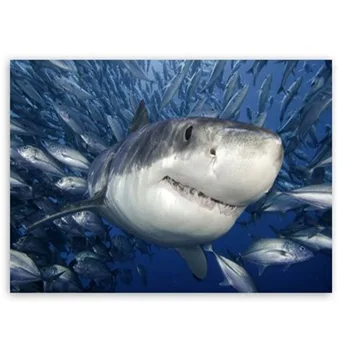 Kufwkey Diamond mosaic,accessories,shark,Diamond Painting Full Round,5D Diamond picture With Rhinestones Embroidery,koi fish art 
Kufwkey Diamond mosaic,accessories,shark,Diamond Painting Full Round,5D Diamond picture With Rhinestones Embroidery,koi fish art