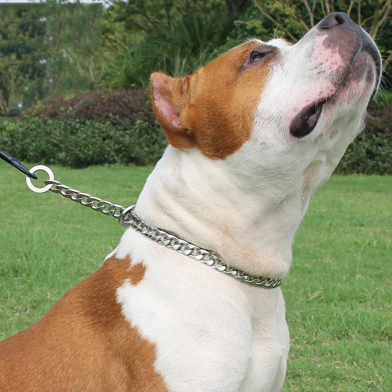 New Stainless Steel P Chain Dog Collar Copper Plating Pet Dog Snake Chain Dog Collars Necklace For Small Medium Large Dogs
New Stainless Steel P Chain Dog Collar Copper Plating Pet Dog Snake Chain Dog Collars Necklace For Small Medium Large Dogs