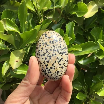Natural Polished Dalmatian Jasper Palm stone Rock crystal palm stone for healing
Natural Polished Dalmatian Jasper Palm stone Rock crystal palm stone for healing