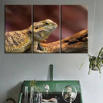 One Set Modular Artwork 3 Pcs Reptile Lizard Poster Modern Canvas HD Printed Decorative Wall Art Modular Picture Decor Framework
One Set Modular Artwork 3 Pcs Reptile Lizard Poster Modern Canvas HD Printed Decorative Wall Art Modular Picture Decor Framework