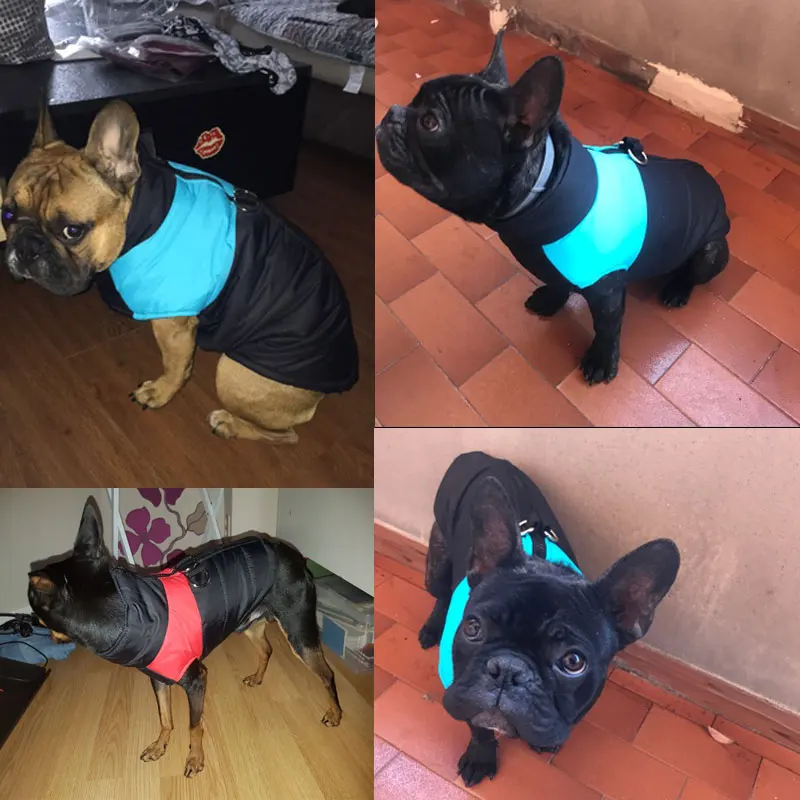 Winter Warm Dog Clothes Waterproof Zip-up Pet Padded Vest Jacket Coat For Medium Large Dogs Ropa Para Perros S-5XL 
Winter Warm Dog Clothes Waterproof Zip-up Pet Padded Vest Jacket Coat For Medium Large Dogs Ropa Para Perros S-5XL
