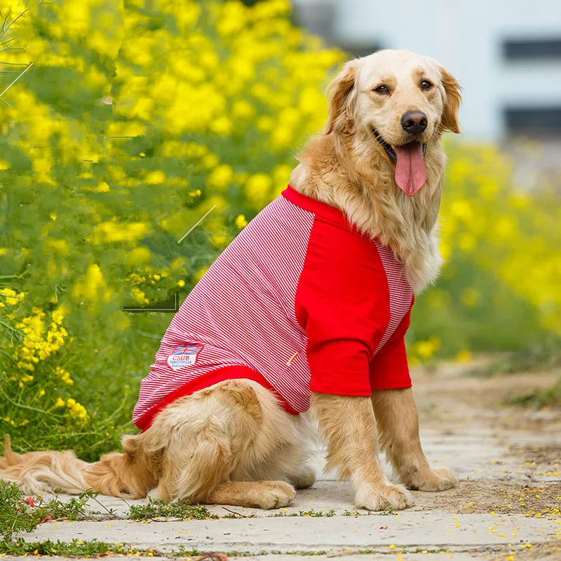 Large Dog Vest Spring Summer Clothing for Big Dog T-shirt Golden Retriever Labrador Siberian Husky Dog Clothes gros chiens
Large Dog Vest Spring Summer Clothing for Big Dog T-shirt Golden Retriever Labrador Siberian Husky Dog Clothes gros chiens