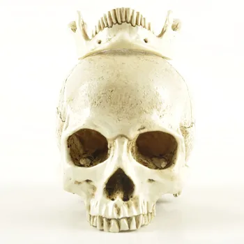 White Head Skull Head Model Replica Medical Realistic Life size 1:1 Emulate Resin Crafts Skull For Decorative
White Head Skull Head Model Replica Medical Realistic Life size 1:1 Emulate Resin Crafts Skull For Decorative
