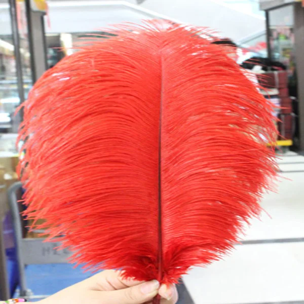 New.50pcs high-quality hotel supplies birthday party supplies natural red feather feather 25-30cm 10-12 inches Free shipping
New.50pcs high-quality hotel supplies birthday party supplies natural red feather feather 25-30cm 10-12 inches Free shipping