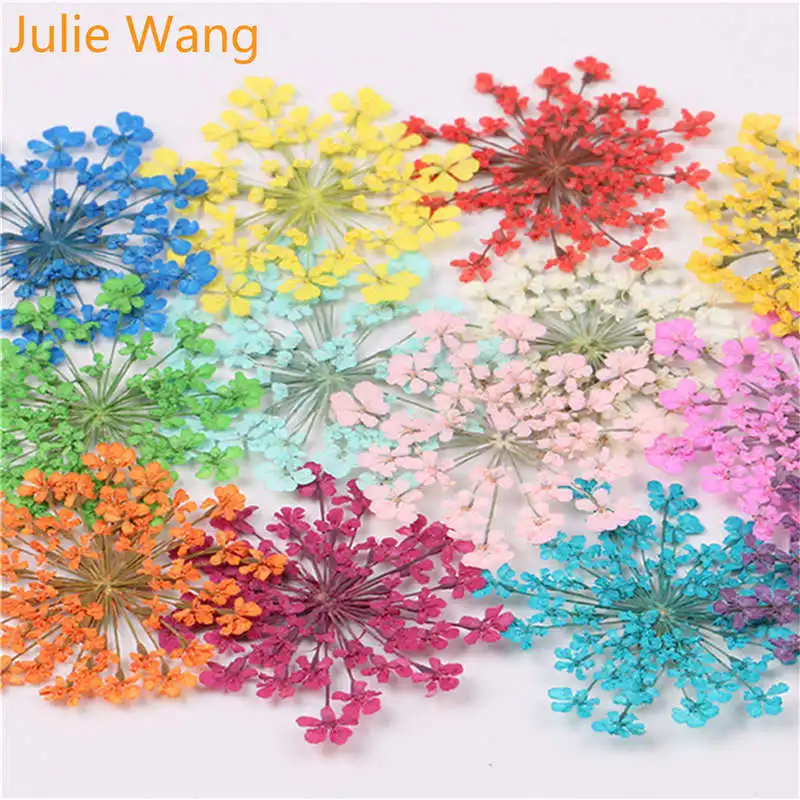 Julie Wang 50PCS Natural Dried Lace Flowers Specimen For Charms Cabochon Necklace Earrings Epoxy Jewelry Making Accessory
Julie Wang 50PCS Natural Dried Lace Flowers Specimen For Charms Cabochon Necklace Earrings Epoxy Jewelry Making Accessory