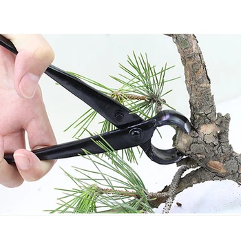 1 Pc Cutting Plier Bonsai Branch Cutter Cutting Plier Garden Tool for Park Garden Home 
1 Pc Cutting Plier Bonsai Branch Cutter Cutting Plier Garden Tool for Park Garden Home