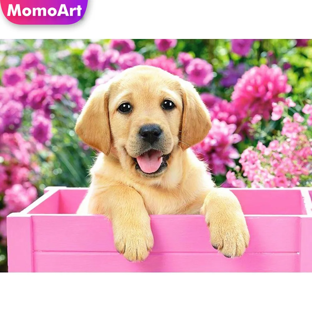 MomoArt Full Drill Diamond Painting Dog Diamond Mosaic Animal Square/round Stones Diamond Embroidery Home Decoration
MomoArt Full Drill Diamond Painting Dog Diamond Mosaic Animal Square/round Stones Diamond Embroidery Home Decoration