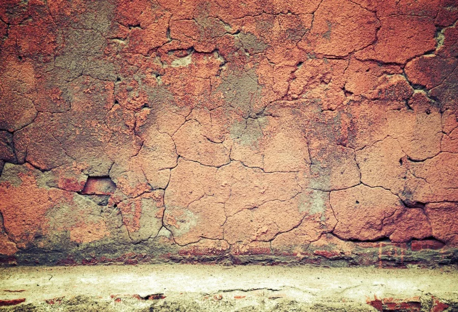 Laeacco Photography Backdrops Old Cracked Cement Wall Child Baby Portrait Photographic Backgrounds Photocall Photo Studio
Laeacco Photography Backdrops Old Cracked Cement Wall Child Baby Portrait Photographic Backgrounds Photocall Photo Studio