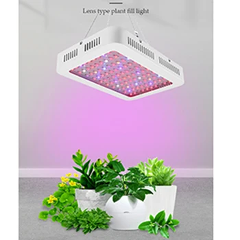 600w Led Grow Light Lamp Plants Flower Growing 100pcs Led Lights For Indoor Outdoor Gardening Greenhouse Hydroponic Plants Crops
600w Led Grow Light Lamp Plants Flower Growing 100pcs Led Lights For Indoor Outdoor Gardening Greenhouse Hydroponic Plants Crops