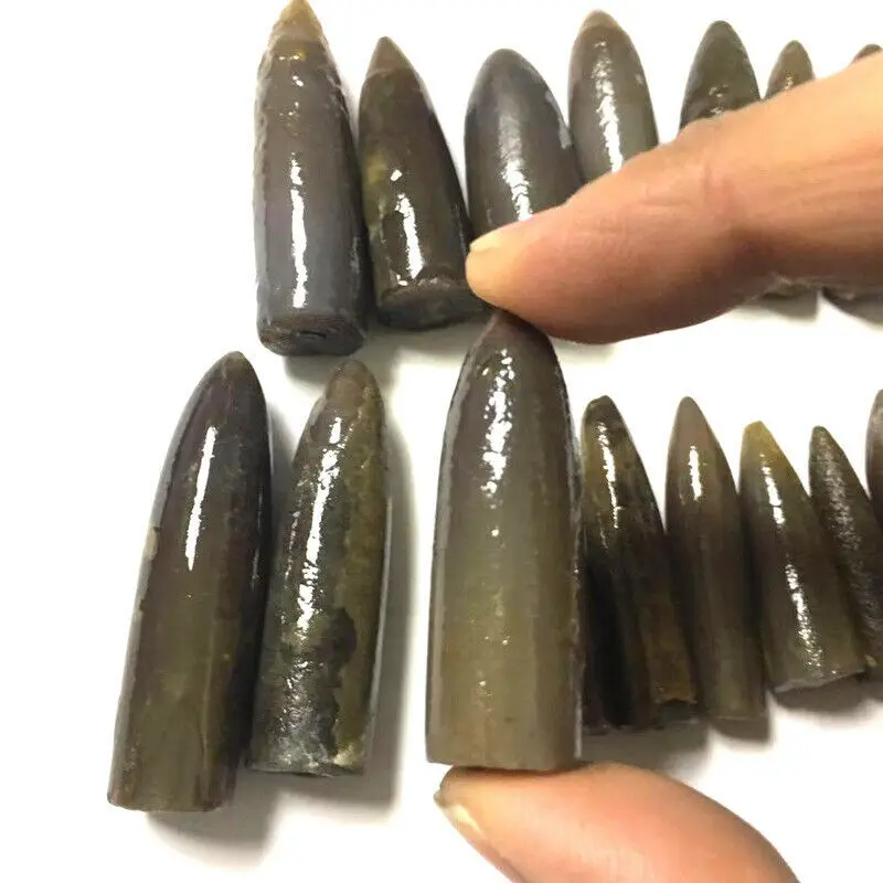 1PC Natural Rare The Arrow Fish Fossil Specimens Original Stone Mineral Healing Natural Stones and Minerals
1PC Natural Rare The Arrow Fish Fossil Specimens Original Stone Mineral Healing Natural Stones and Minerals