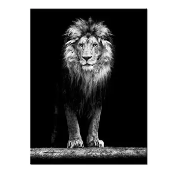 Lion Canvas Print Portrait of Beautiful Lion in the Dark Wall Art Black and White Animal Canvas Pictures for Living Room Decor
Lion Canvas Print Portrait of Beautiful Lion in the Dark Wall Art Black and White Animal Canvas Pictures for Living Room Decor