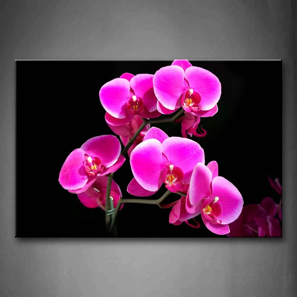 Framed Wall Art Pictures Pink Orchids Canvas Print Flower Poster With Wooden Frame For Home Living Room And Office Decor 
Framed Wall Art Pictures Pink Orchids Canvas Print Flower Poster With Wooden Frame For Home Living Room And Office Decor