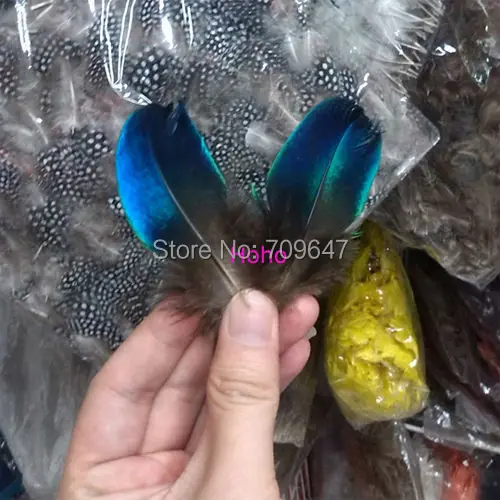 30Pcs/lot!6-9cm long Rare BLUE PEACOCK PLUMAGE WING FEATHERS LOOSE PEACOCK FEATHERS
30Pcs/lot!6-9cm long Rare BLUE PEACOCK PLUMAGE WING FEATHERS LOOSE PEACOCK FEATHERS