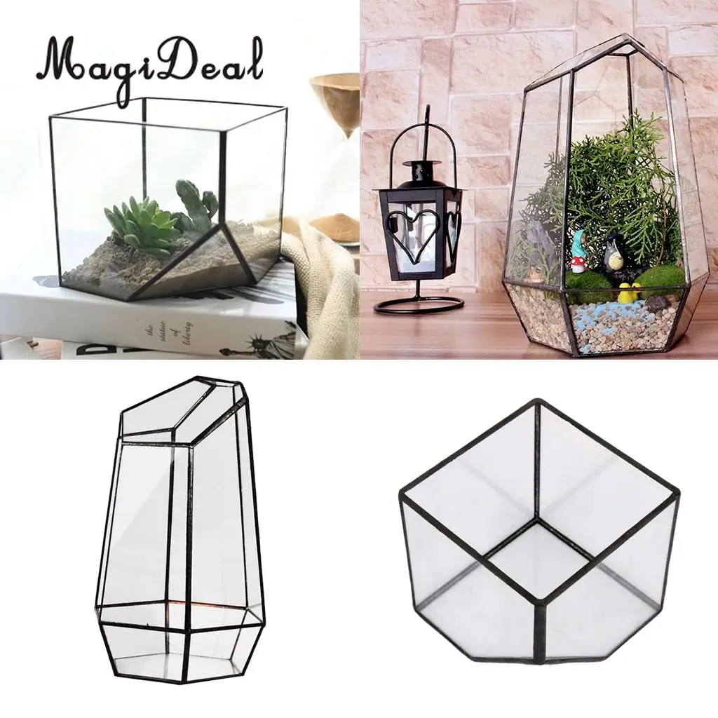 2 Set Glass Terrarium Hexagonal and Cube Shape Miniature Garden House Micro Landscape Greenhouse Decor
2 Set Glass Terrarium Hexagonal and Cube Shape Miniature Garden House Micro Landscape Greenhouse Decor