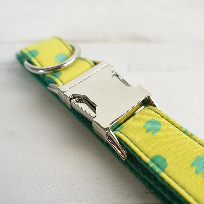 Pet Dog Collars (10)
