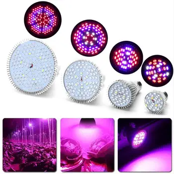 LED Grow Light Full Spectrum 10W/ 30W/ 50W/ 80W E27 UV IR LED Growing Bulb for Indoor Hydroponics Flowers Plants LED Growth Lamp
LED Grow Light Full Spectrum 10W/ 30W/ 50W/ 80W E27 UV IR LED Growing Bulb for Indoor Hydroponics Flowers Plants LED Growth Lamp