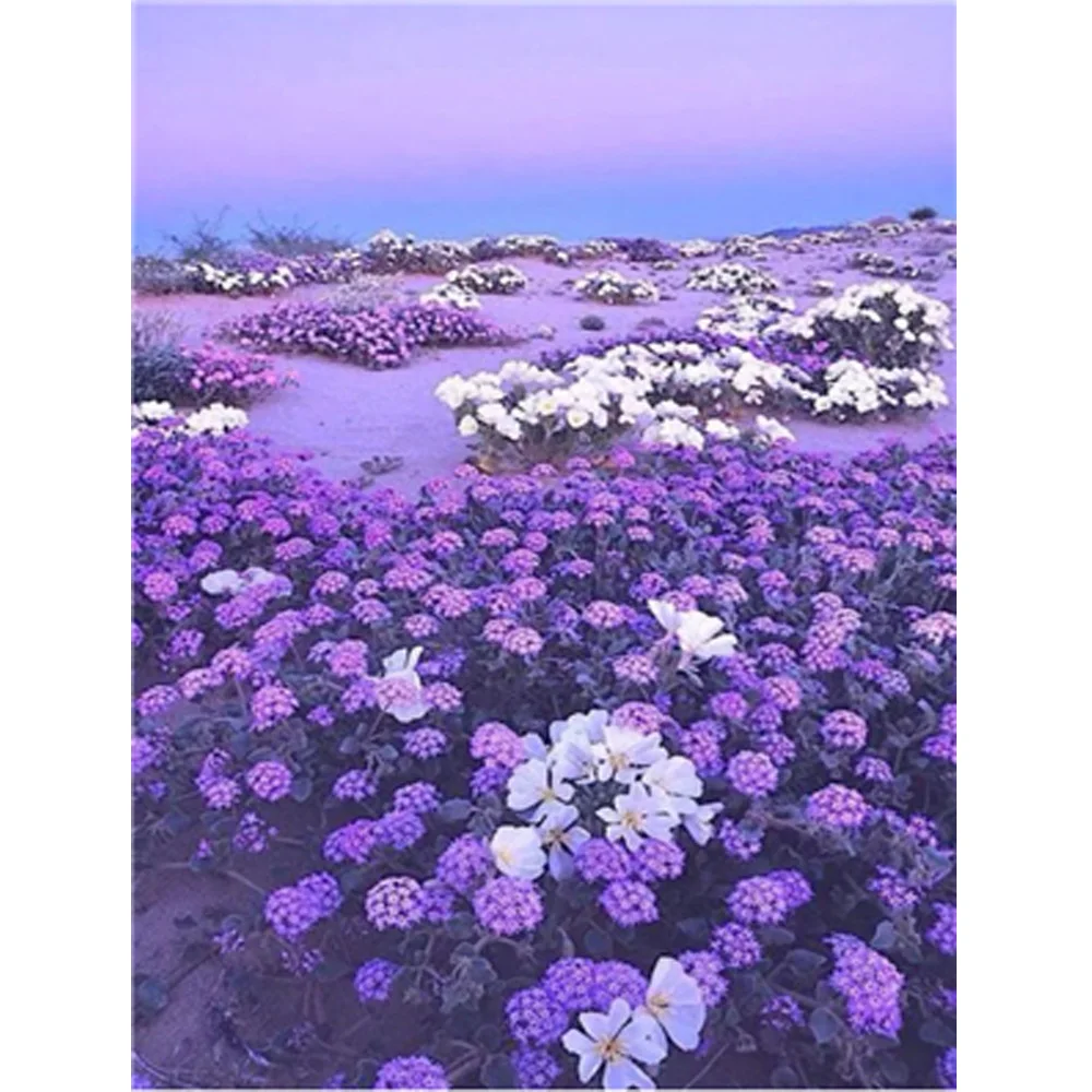 5D DIY Diamond Embroidary Full Round Drill Mosaic Cross Stitch Outdoor Flowers 3D Diamond Painting kit Sticker Home Decor TY105
5D DIY Diamond Embroidary Full Round Drill Mosaic Cross Stitch Outdoor Flowers 3D Diamond Painting kit Sticker Home Decor TY105